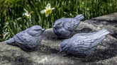 Photo of Campania Trio d'Oiseaux - Exclusively Campania
